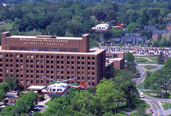 Westchester Medical Center, Northern Westchester Hospital, and Other