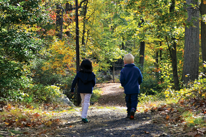 Family Activities In Westchester's Sound Shore Cities And Towns