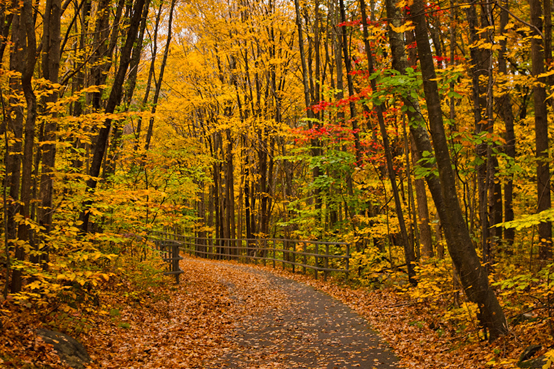 Get Your Bike On 10 Westchester Trails
