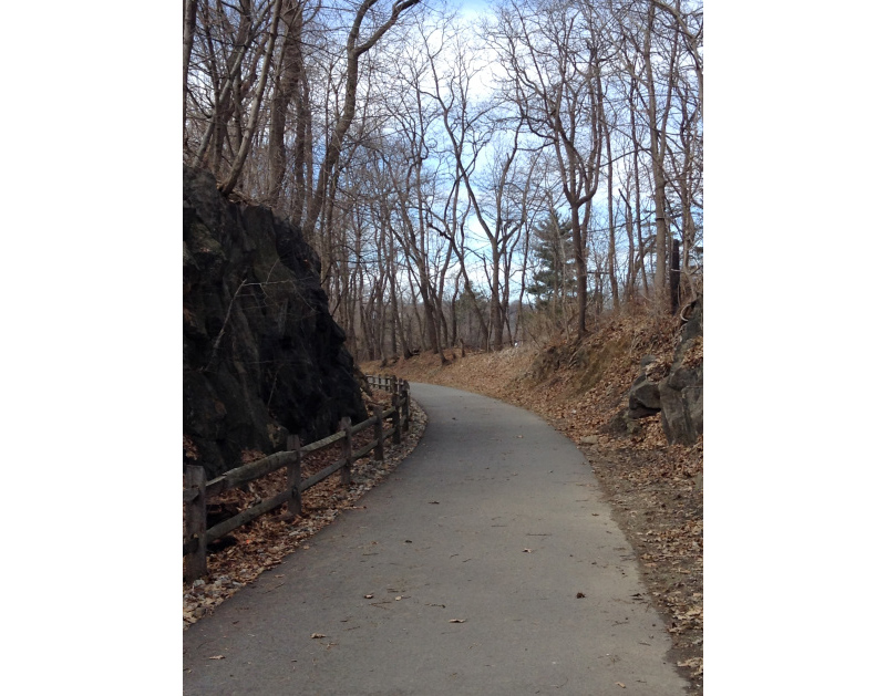 Get Your Bike On 10 Westchester Trails