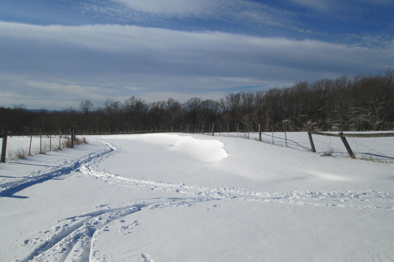 Guest Post 5 Places To Hike In The Snow In Westchester