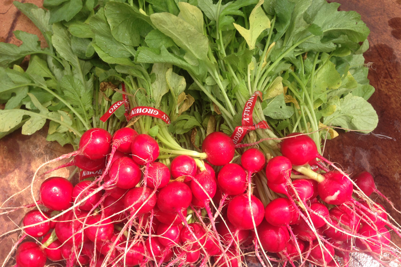 The Irvington Winter Farmer's Market Is Back