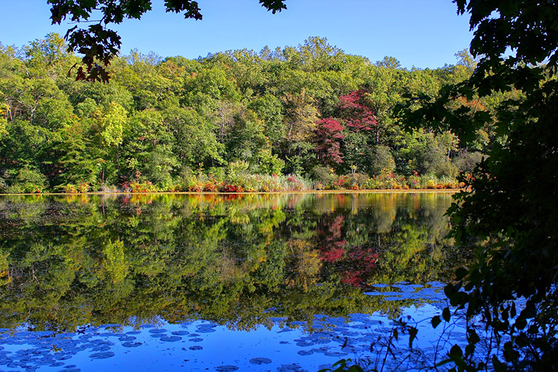 Cranberry Lake Preserve