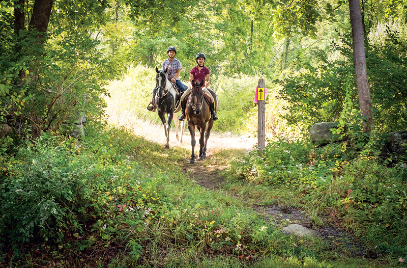 horse stables in westchester county ny