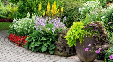 The Perfect Plant Containers for a Summer Garden in Westchester - Vimarsana News