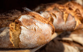 fresh bread