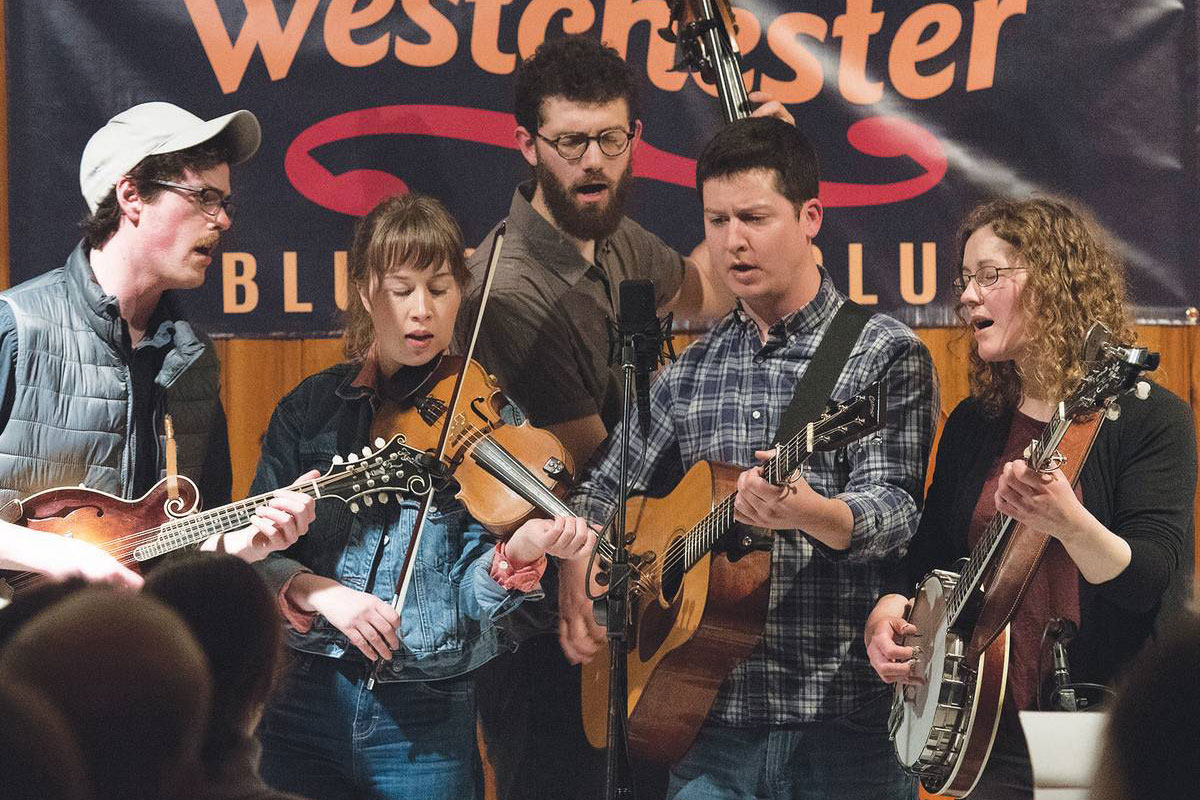 Bluegrass Is Hot Stuff in Westchester's Music Scene