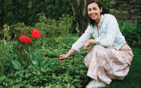 Gardens for spring