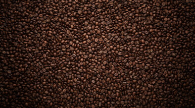Coffee Labs Roasters Celebrates 20 Years in Tarrytown - Vimarsana News
