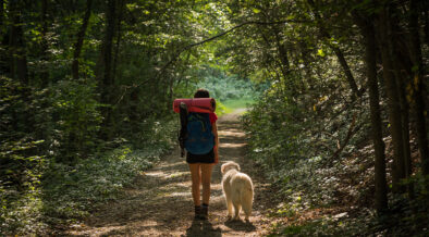 These Dog-Friendly Hikes Are Must-Tries in Westchester - Vimarsana News